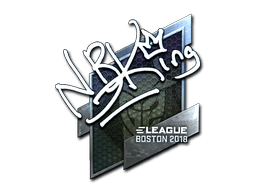 Boston 2018