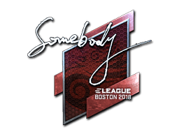 Sticker | somebody (Foil) | Boston 2018