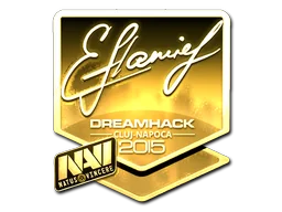 Sticker | flamie (Gold) | Cluj-Napoca 2015