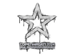 Sealed Graffiti | Complexity Gaming | Copenhagen 2024