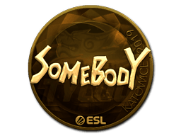 Sticker | somebody (Gold) | Katowice 2019