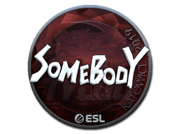 Sticker | somebody (Foil) | Katowice 2019