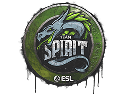 Sealed Graffiti | Team Spirit | Katowice 2019