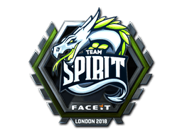 Team Spirit (Foil)