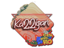 Sticker | karrigan | Rio 2022