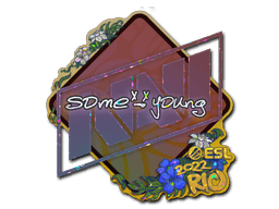 Sticker | sdy (Glitter) | Rio 2022