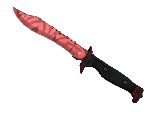 ★ Bowie Knife | Slaughter