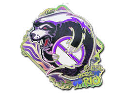 Sticker | Outsiders (Holo) | Rio 2022