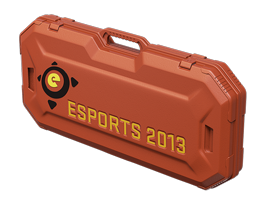 eSports 2013ケース