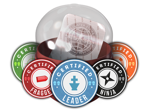 Team Roles Capsule