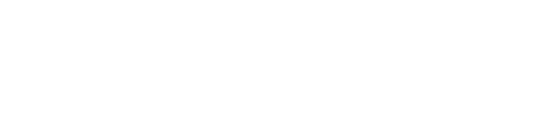 Skin.Land Logo
