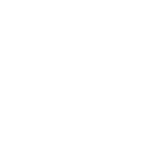 SkinBid