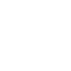 SkinBid