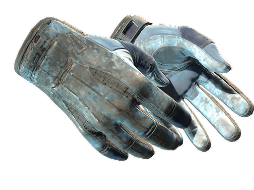 ★ Sport Gloves | Frosty