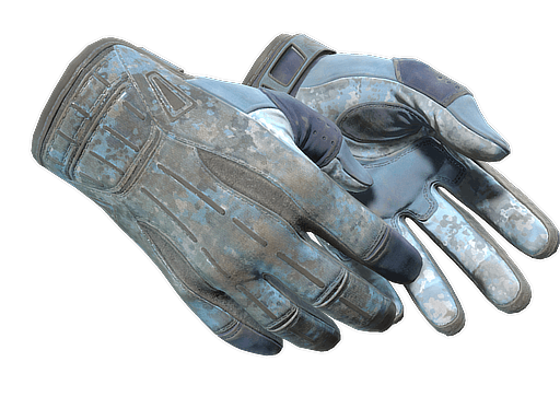 Sport Gloves | Frosty - CSGOSKINS.GG