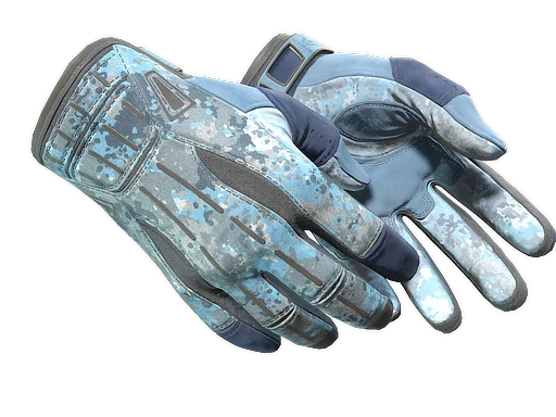 ★ Sport Gloves | Frosty (Minimal Wear)