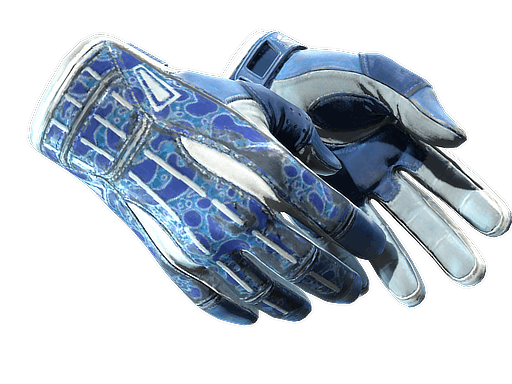 ★ Sport Gloves | Amphibious