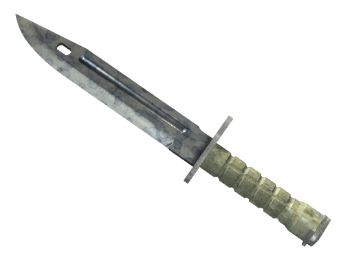 ★ Bayonet | Stained