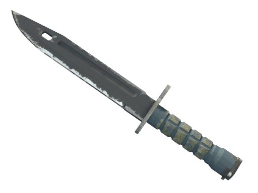 ★ Bayonet | Night