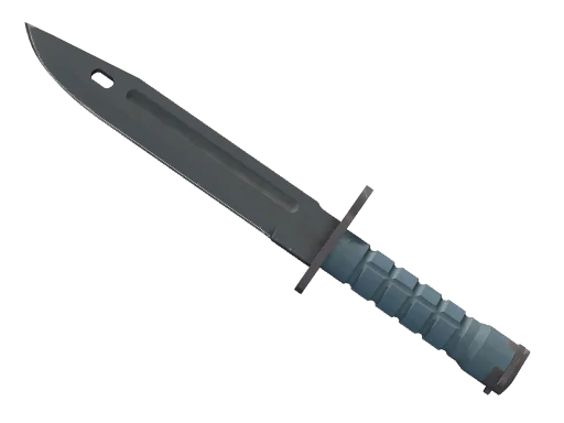 ★ Bayonet | Night (Minimal Wear)