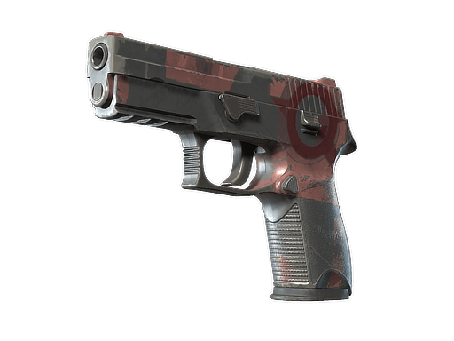 P250 | Constructivist