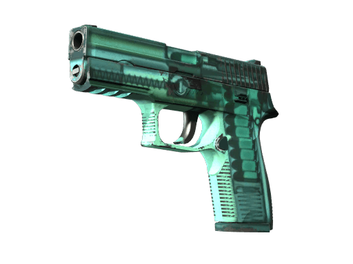 P250 | X-Ray