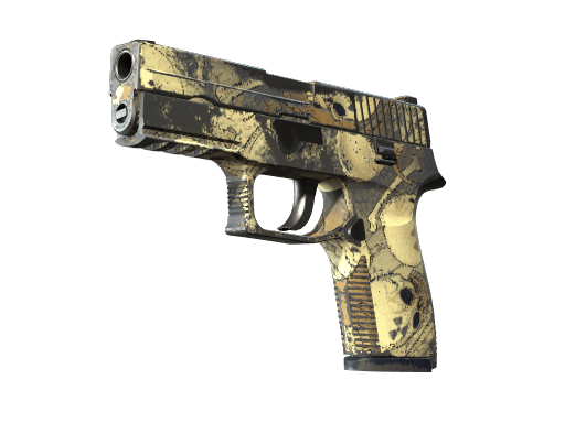 P250 | Contamination