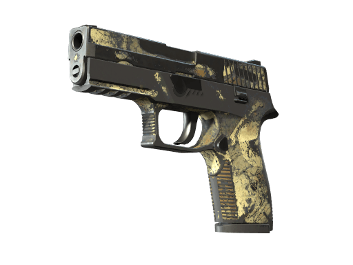 P250 | Contamination