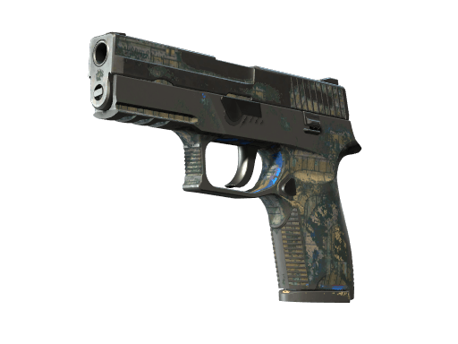 P250 | Exchanger