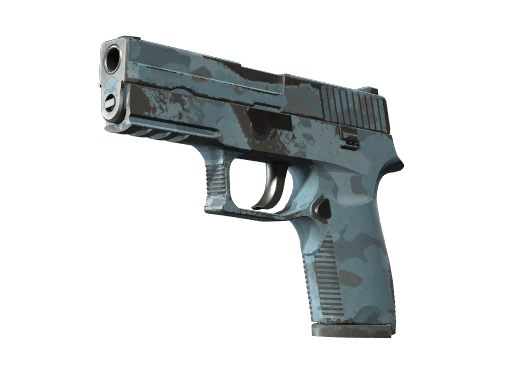 P250 | Forest Night