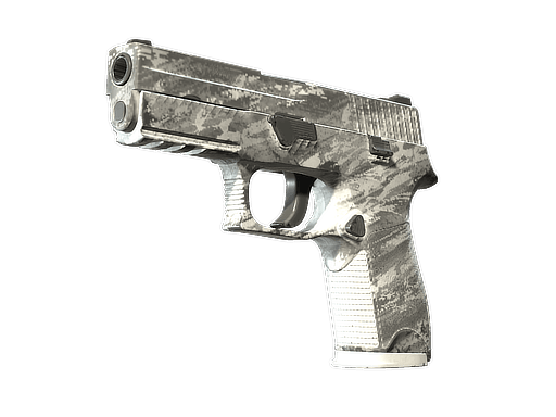 P250 | Sleet