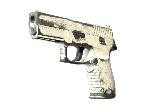 P250 | Whiteout (P250 | Whiteout)