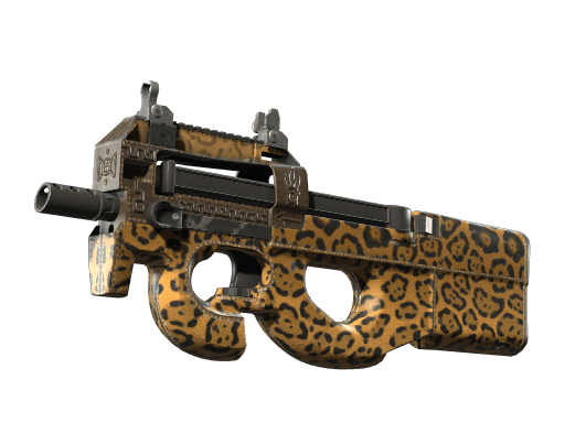 P90 | Run and Hide