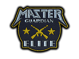 Patch | Metal Master Guardian Elite
