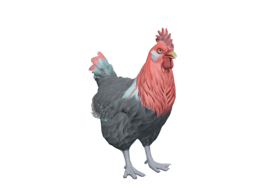 Pet Chicken | Catalana (Black With Red Head)