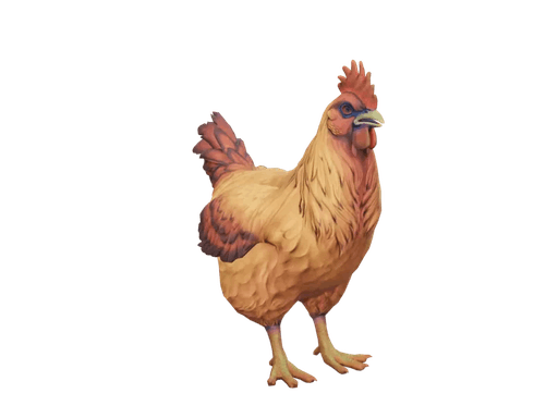 Pet Chicken | Catalana (Dark Orange)