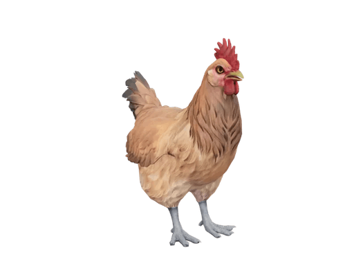 Pet Chicken | Catalana (Tan)