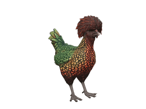 Pet Chicken | Polish (Green With Red Head)
