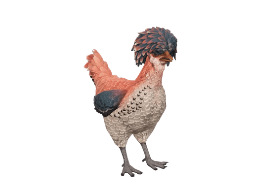 Pet Chicken | Polish (Orange White Blue)