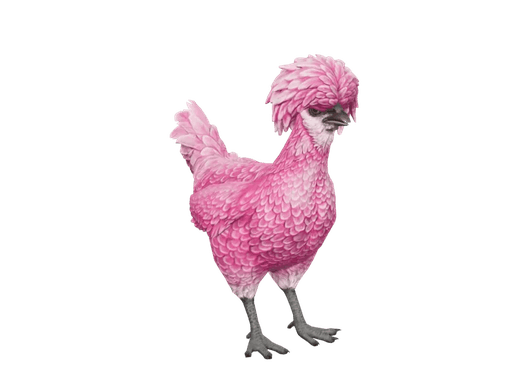 Pet Chicken | Polish (Pink)