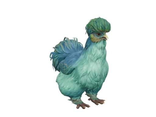 Pet Chicken | Silkie (Aqua With Yellow)