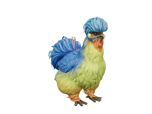 Pet Chicken | Silkie (Blue With Red Beard)