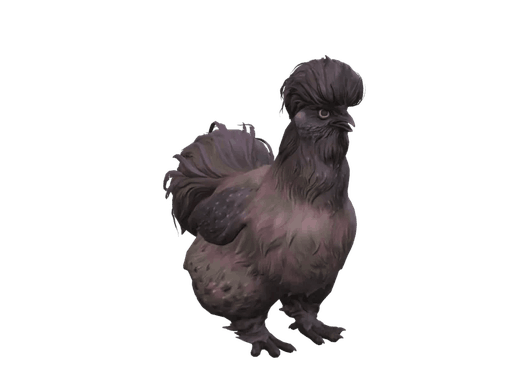 Pet Chicken | Silkie (Purple)