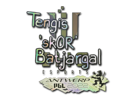 Sticker | sk0R (Holo) | Antwerp 2022