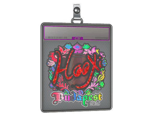 Sticker | HooXi (Holo) | Budapest 2025
