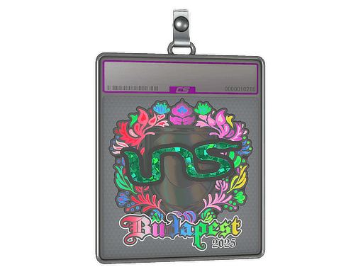 Sticker | INS (Holo) | Budapest 2025