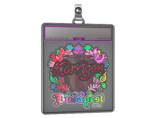 Sticker | karrigan (Holo) | Budapest 2025