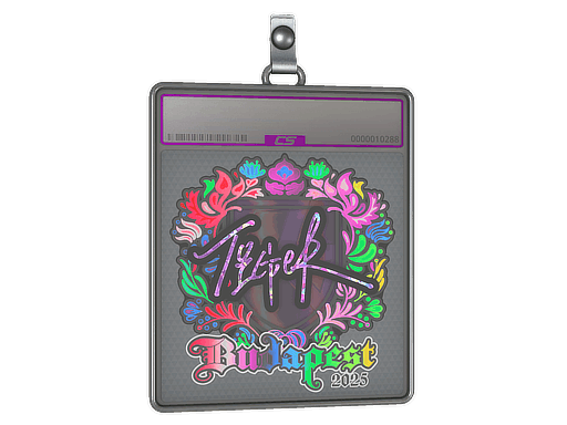 Sticker | Tiger (Holo) | Budapest 2025