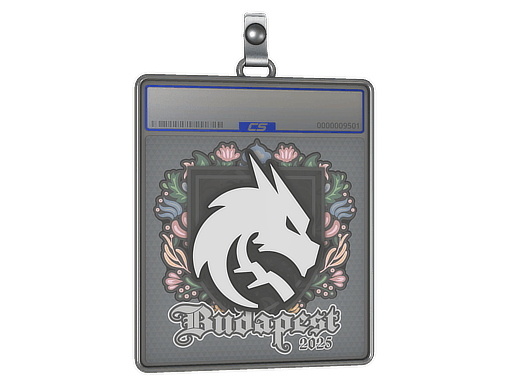 Sticker | Team Spirit | Budapest 2025