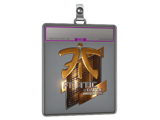 Sticker | Fnatic (Foil) | Boston 2018